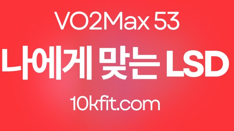 나에게 맞는 LSD 훈련 방법