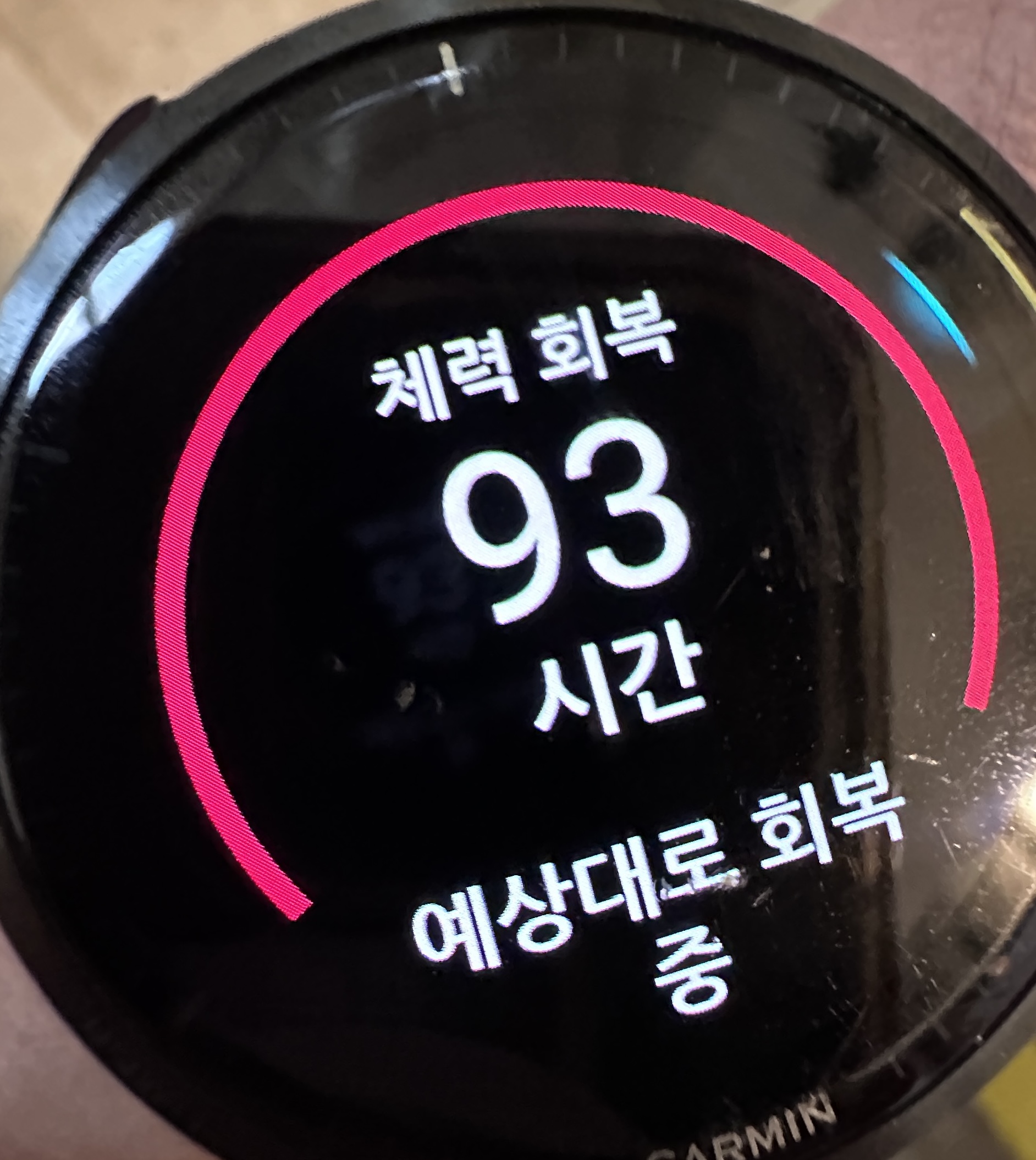 2026 포트 랭리 하프 마라톤 후기