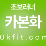 카본 러닝화 초보 부상